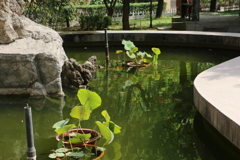 Chongqing 3*